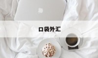 口袋外汇(口袋外汇app)